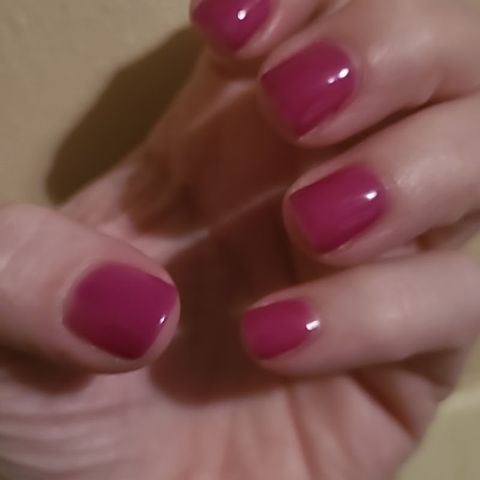 Lan Special Nail, nail salon in Germantown, TN